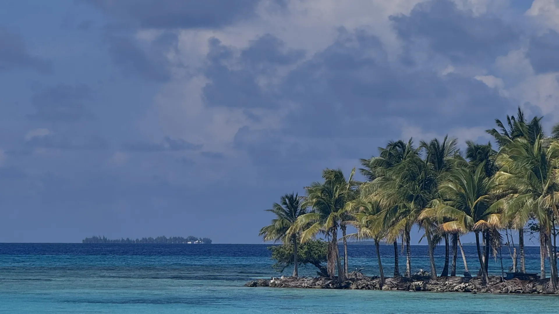 Cocoteros en la orilla de Moho Caye sobre aguas turquesa poco profundas, con otro cayo en el horizonte