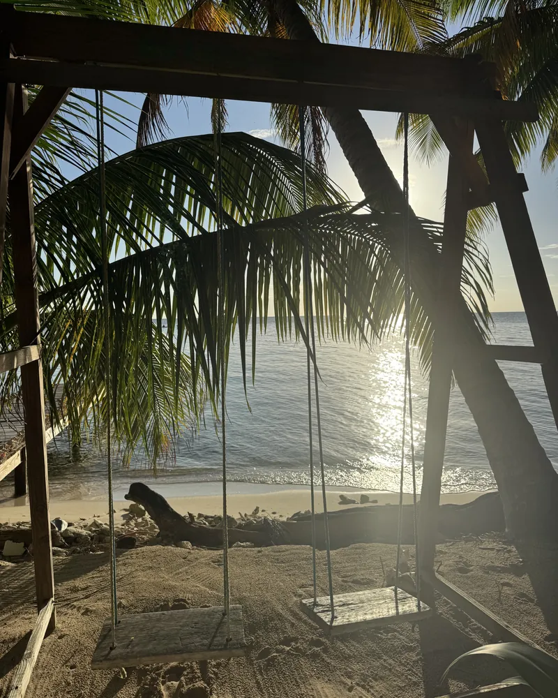 Dos columpios de madera en la playa de Ranguana Caye, bajo las palmeras, con el sol sobre el agua