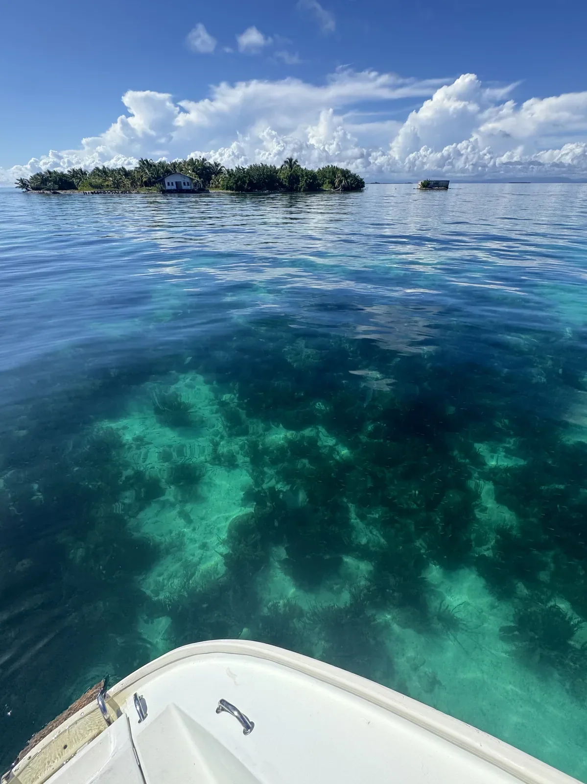 Żeglowanie i życie rafy z Feel It Belize