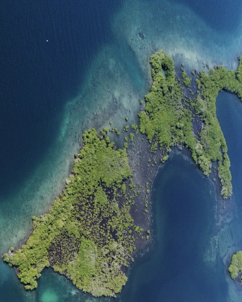 Vista aérea de los manglares de Lark Caye, rodeados de agua azul profundo