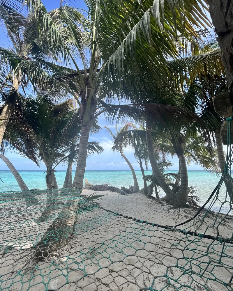 Hamak z siatki pod palmami na Ranguana Caye, w tle turkusowa woda